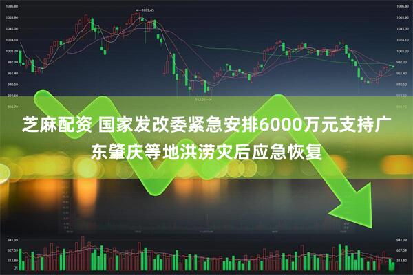 芝麻配资 国家发改委紧急安排6000万元支持广东肇庆等地洪涝灾后应急恢复
