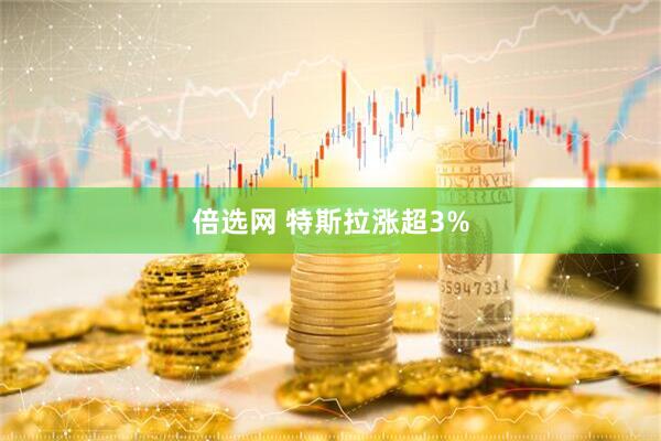 倍选网 特斯拉涨超3%