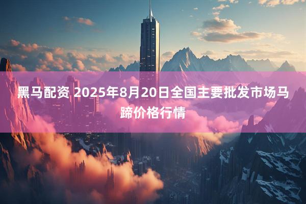 黑马配资 2025年8月20日全国主要批发市场马蹄价格行情