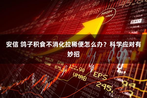 安信 鸽子积食不消化拉稀便怎么办？科学应对有妙招