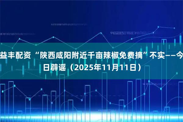 益丰配资 “陕西咸阳附近千亩辣椒免费摘”不实——今日辟谣（2025年11月11日）