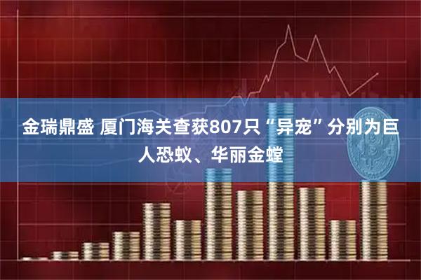 金瑞鼎盛 厦门海关查获807只“异宠”分别为巨人恐蚁、华丽金螳