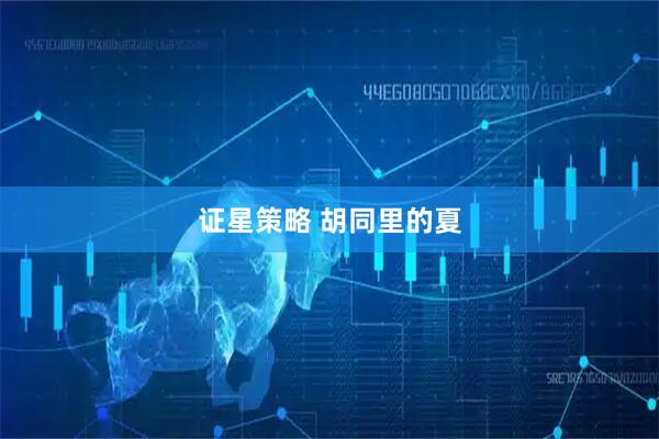 证星策略 胡同里的夏