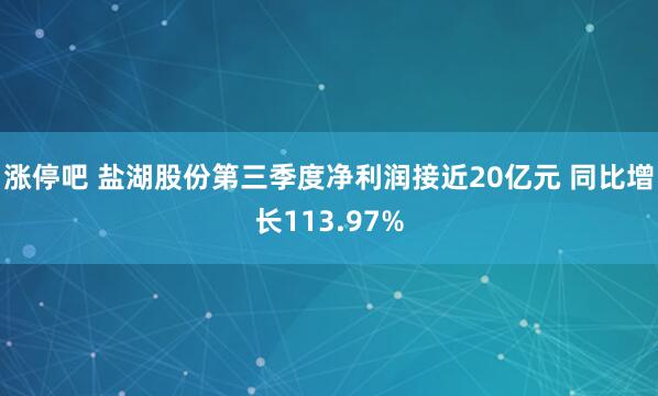 涨停吧 盐湖股份第三季度净利润接近20亿元 同比增长113.97%