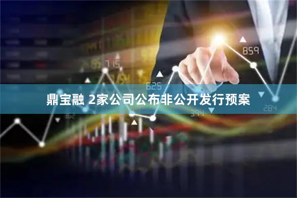 鼎宝融 2家公司公布非公开发行预案