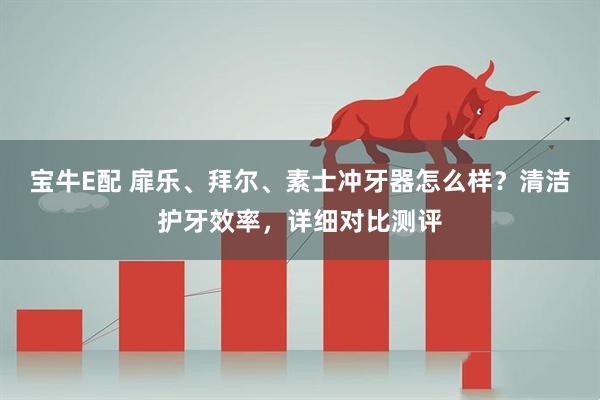 宝牛E配 扉乐、拜尔、素士冲牙器怎么样？清洁护牙效率，详细对比测评