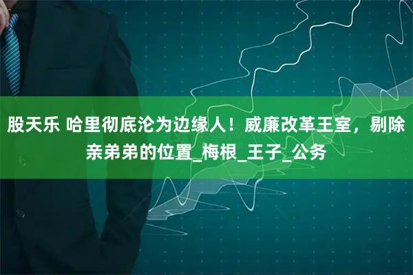 股天乐 哈里彻底沦为边缘人！威廉改革王室，剔除亲弟弟的位置_梅根_王子_公务